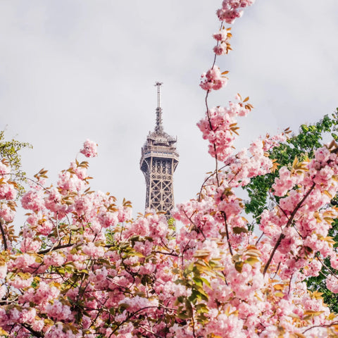 From-Paris-With-Love Embark Travel Store