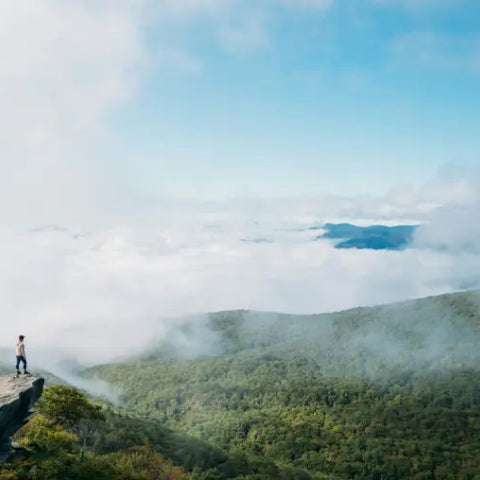 National-Parks Embark Travel Store