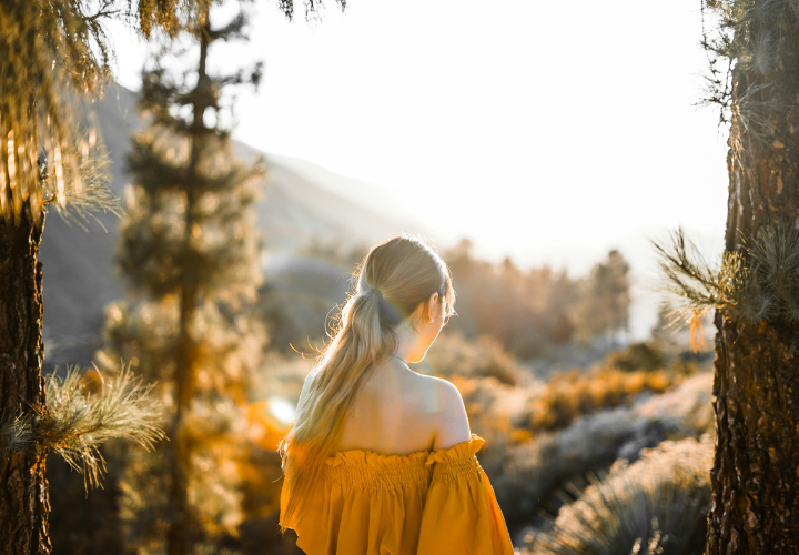FALL INTO ADVENTURE