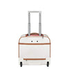 Delsey Luggage Chatelet Champagne Soft Carry-On