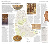 DK Eyewitness Travel Guide Rome: 2018